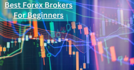 Best Forex Brokers For Beginners